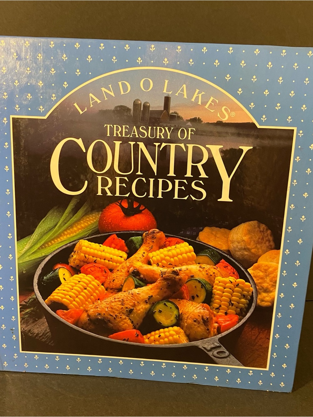 *SALE* Vintage Land O Lakes Treasury of Country Recipes Cookbook - Binder
